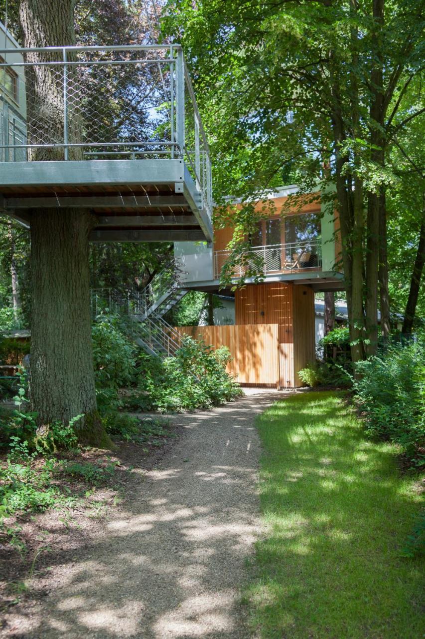 Urban Tree House *
